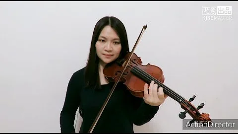 Halsey - SUGA's Interlude(Violin Cover)