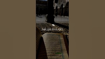 تلاوه جميله ماهر المعيلقي #اكسبلور #لايك #اكسبلورهاشتاقات #دويتو #المصحف #رمضانمبارك
