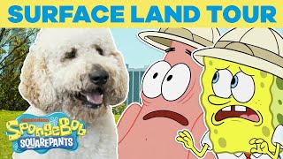 Surface Land Tour 🏝️ SPONGEBOB'S BIG BIRTHDAY BLOW OUT 🎉 SpongeBob Resimi