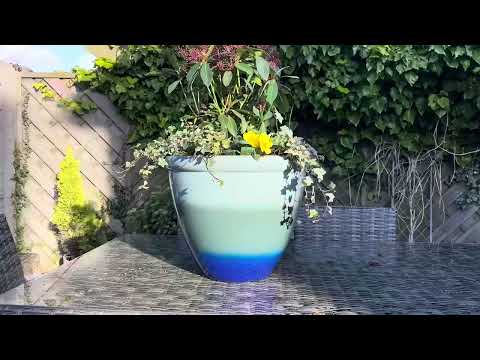 Grumpy Gardener Ombré