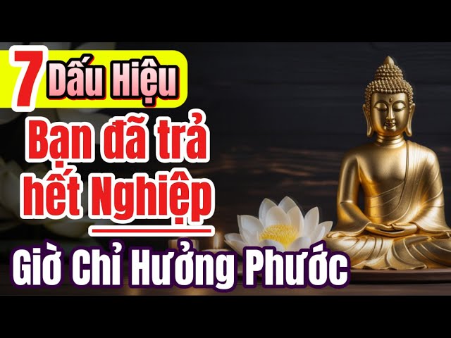 Outline Video 7 dấu hiệu bạn đã trả hiết nghiệp, giờ là lúc hưởng và gìn giữ phúc báo