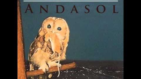 Ash Black Bufflo- "Buho"