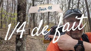 Jour 46 👣⛺🌳 Le quart de fait!! - Appalachian Trail 2024