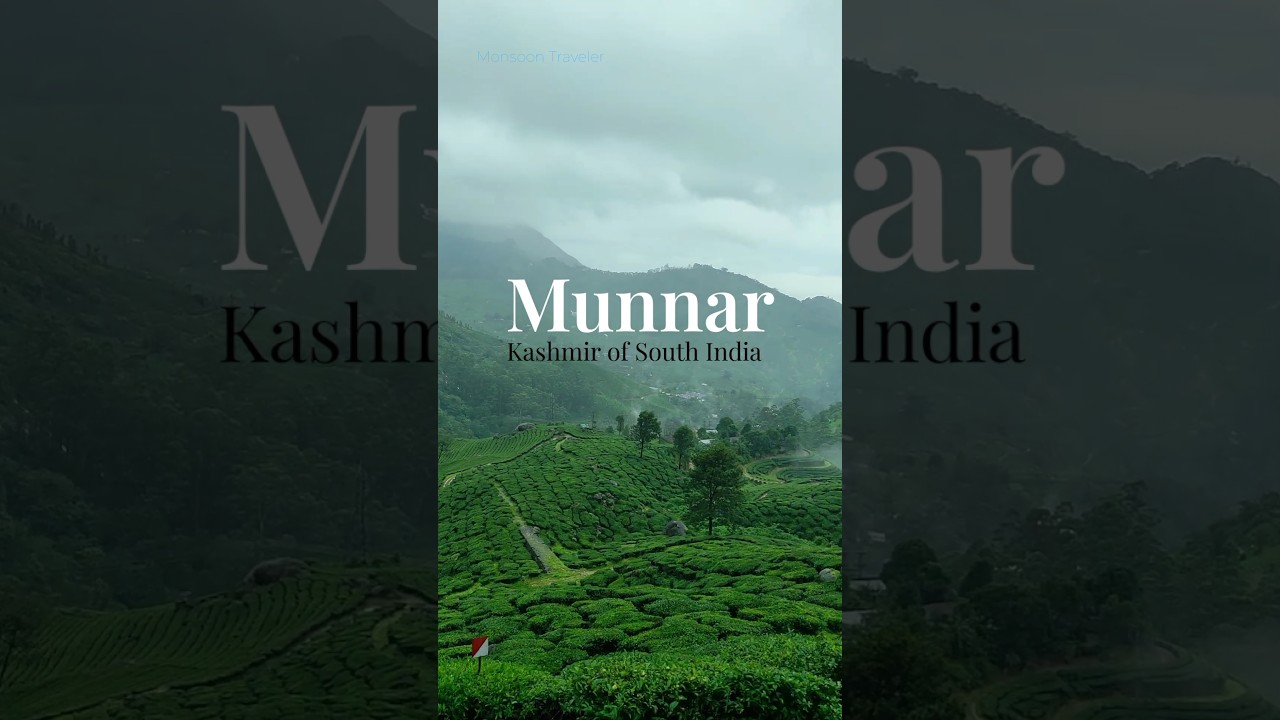 Munnar Trip in Monsoon #kerala #travel #nature #shorts Munnar Trip in Monsoon #kerala #travel #nature #shorts