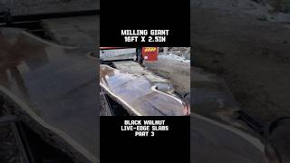 Milling Giant 16ft Black Walnut Live Edge Slabs - PART 3