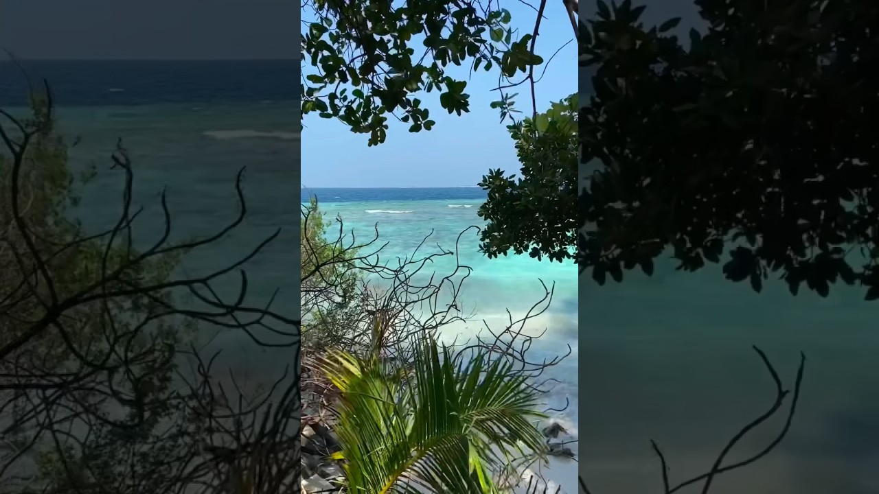 Add Bajaj to your summer vibes