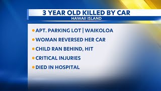3-year-old girl dies after hit by reversing car in Waikoloa