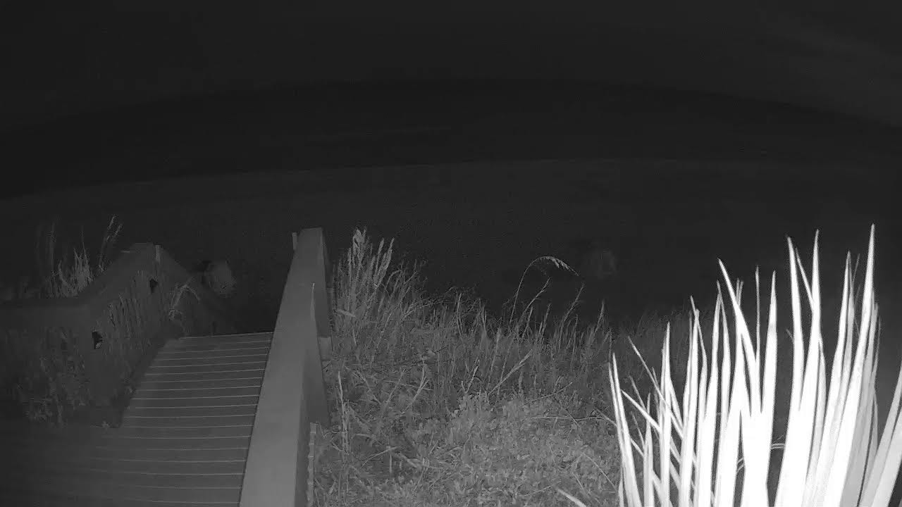 Blue Mountain Beach Live Camera — Santa Rosa Beach, FL live camera thumbnail