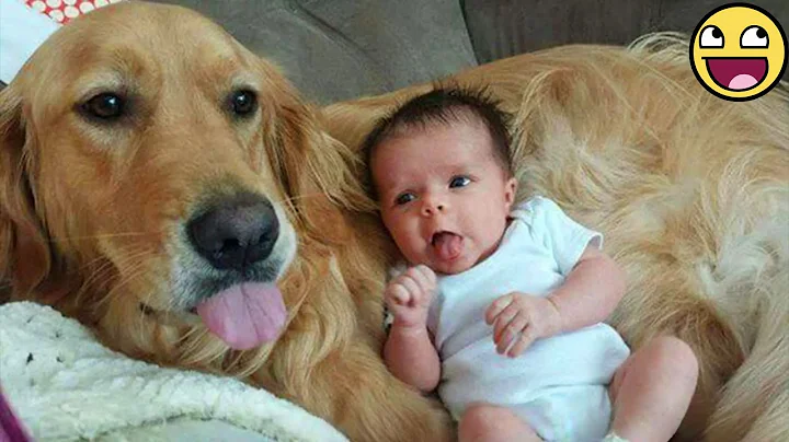 Watch Animals and Babies Share Pure Love for 30 Minutes 🐶❤️👶 thumbnail