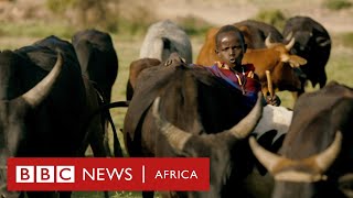 Cattle, Crops and Iron  History Of Africa with Zeinab Badawi [Episode 2]