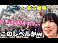 人生初の桜を見に訪れた名古屋城で日本人の本質を知って衝撃発言連発の韓国人女子