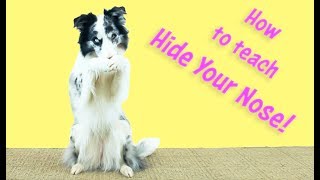 Cover Your Nose  Kikopup Dog Tricks Training