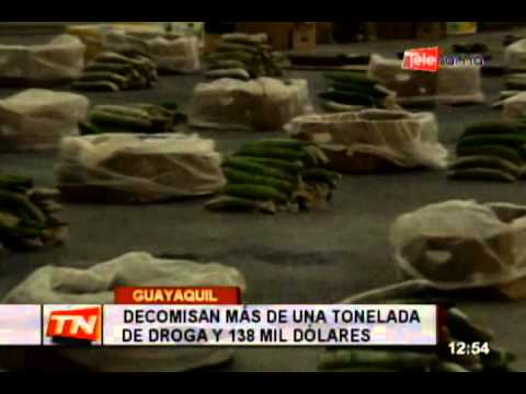 Decomisan más de una tonelada de droga y 138 mil dólares