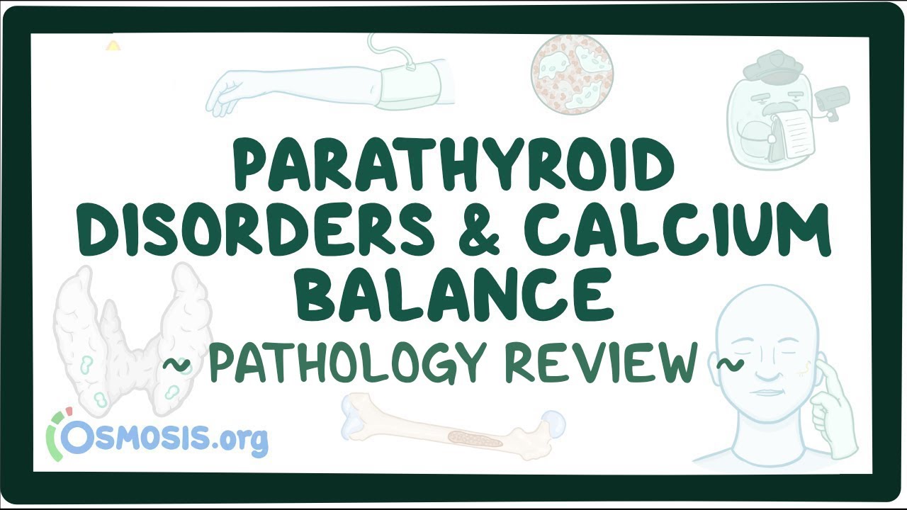 Parathyroid disorders and calcium balance: Pathology Review