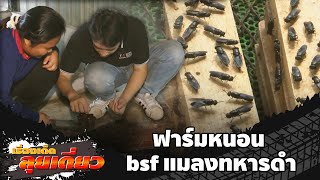 เรื่องเด็ดลุยเดี่ยว | ฟาร์มหนอน bsf แมลงทหารดำ จ.สระบุรี | ข่าวเที่ยงอมรินทร์ | 28 เม.ย. 67