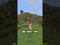 WHEEL OF WORLD PART 2 🫡 #minecraft