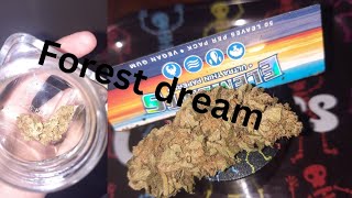 forest dream strain review