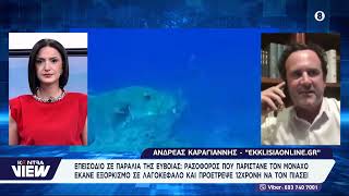 Εύβοια Απίστευτο περιστατικό:Ρασοφόρος έκανε εξορκισμό σε λαγοκέφαλο & είπε σε 12χρονη να τον πιάσει