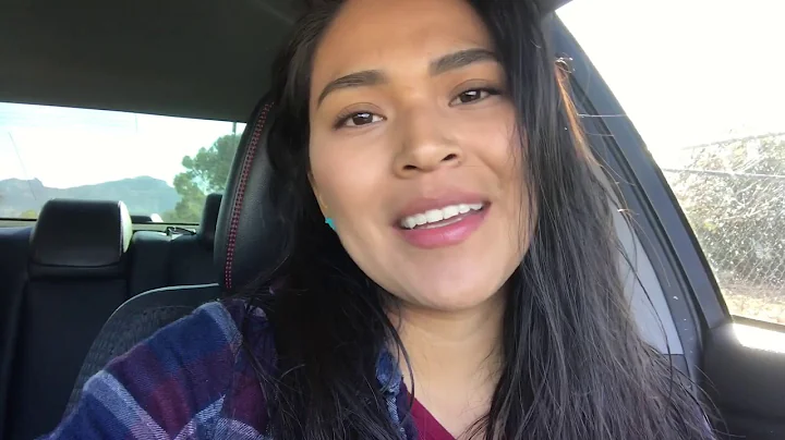 Western Navajo Fair (the best fair)