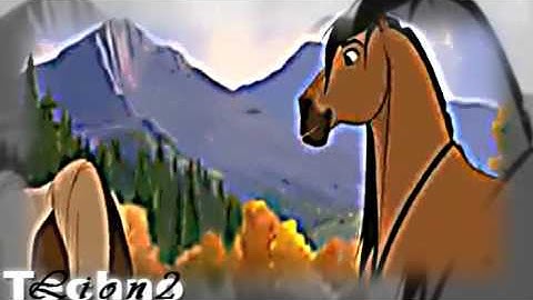 Animash ||..Run..|| DEDICATION