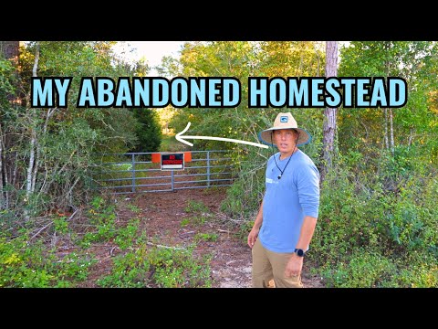 I Bought an Abandoned Homestead With A Private Lake