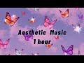 1 hour of aesthetic music to sleep/relax/study (no ads)