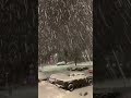Beautiful snowfall#snow #canada #shortvideo #love