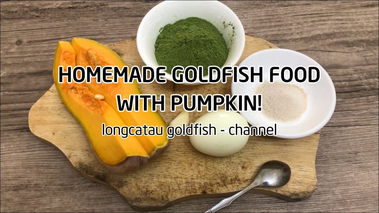 HOMEMADE GOLDFISH FOOD WITH PUMPKIN YouTube HOMEMADE GOLDFISH FOOD WITH PUMPKIN YouTube