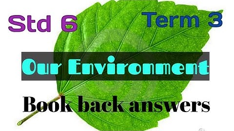 Std 6/ Science / Term 3/ Unit 4/ Our Environment/ Part 4 with Book back answers @teacherswaves5033