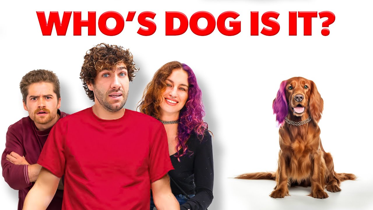 Match The Dog To The Owner