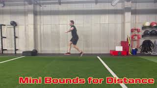 Mini Bounds for Distance