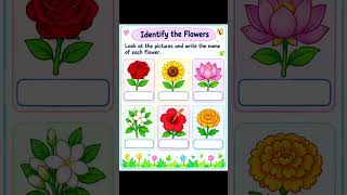 🌱 Plants Around Us | Class 1 EVS Worksheet | Parts of a Plant, Flowers & Uses 🌸🌿