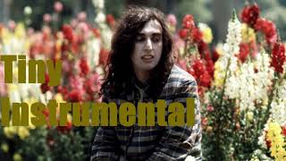 Tiny Tim Courage my friend Instrumental