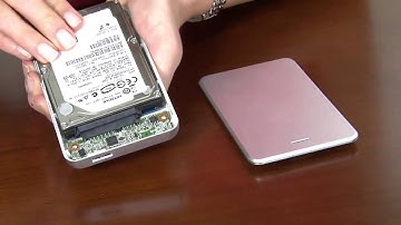 Ynzal | A Closer Look   OWC Express