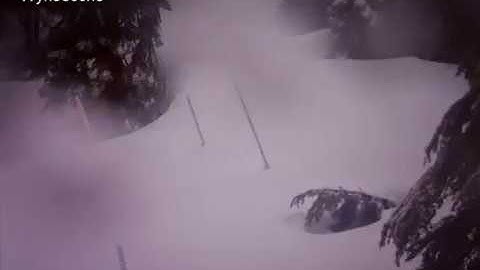 Time-lapse of snowfall and melting during the Olympic Mountain Experiment (OLYMPEX) field campaign