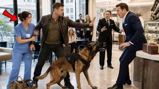 They Humiliated A Nurse In Public — Until Her Navy SEAL And K9 Changed Everything