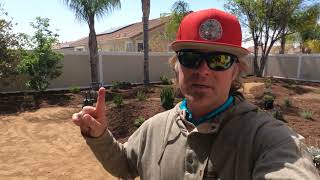 Transforming Murrieta Ca Southwestern Mediterranean Fusion Landscape