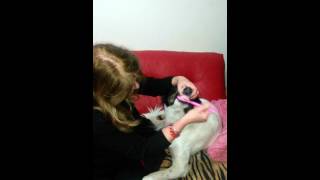 imgen video
