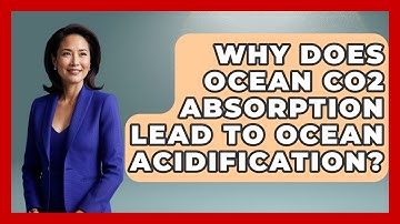 Why Does Ocean CO2 Absorption Lead To Ocean Acidification? - Explaining Ecology