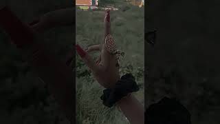 Hand Video