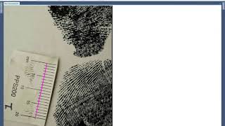 Foot Print search on Forensic Comparison Software screenshot 4