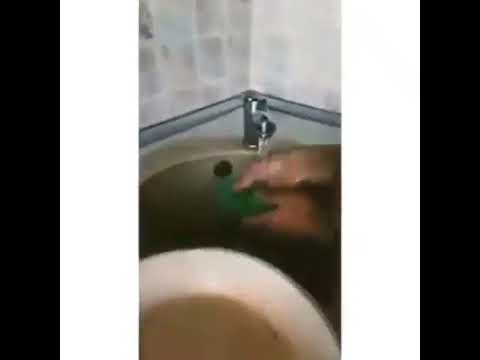 AQUAMAGIC ABSOLUTE ჭურჭლის ტილო