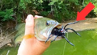 Real Spider vs. Spider Lure Fishing Challenge! by Ace Videos 393,343 views 9 months ago 12 minutes, 31 seconds
