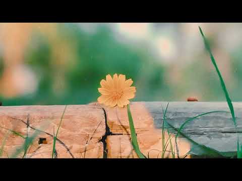 imperfect - lofi rap type beat (FREE FOR PROFIT USE)