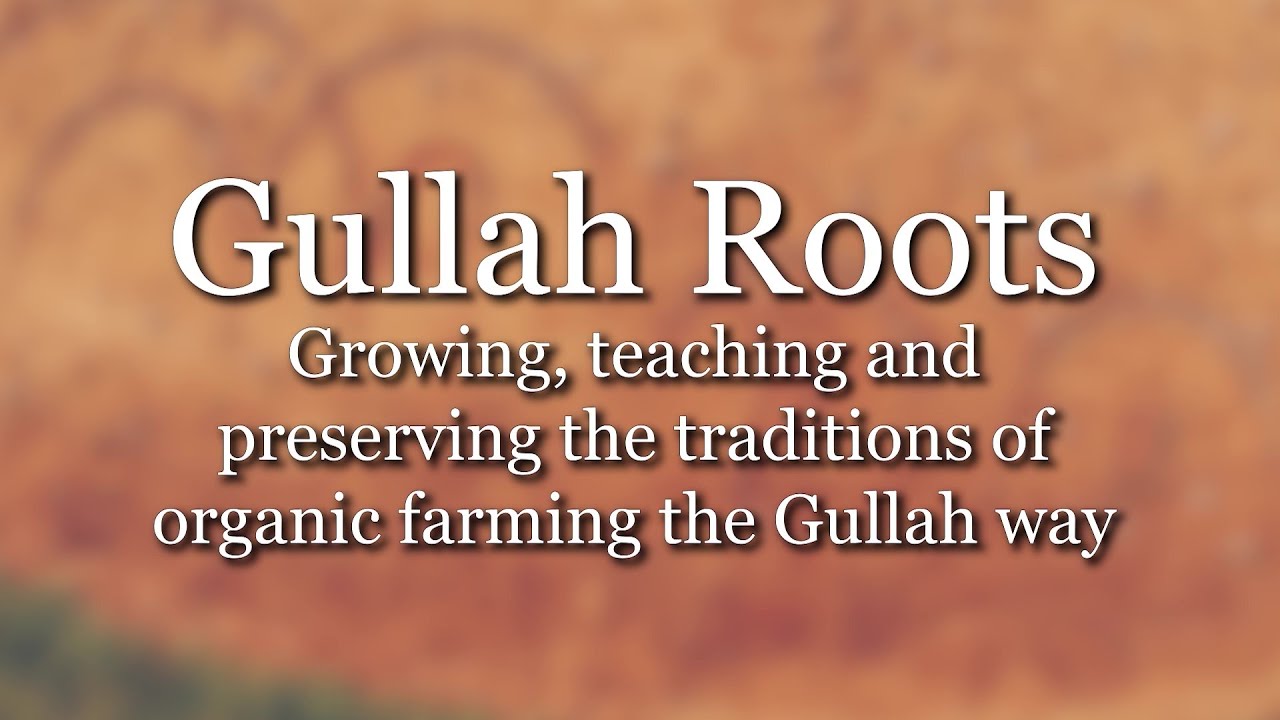 Gullah Roots - YouTube