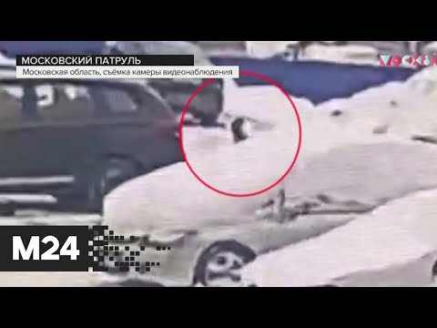 Несчастье из-за снежной кучи: женщина насмерть сбила малыша, паркуя машину в Мытищах