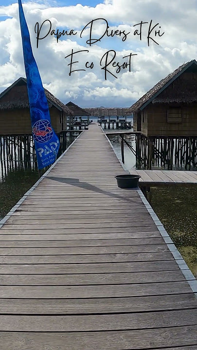 Papua Divers at Kri Eco Resort #shorts #Otdima #indonesia #rajaampat #scubadiving