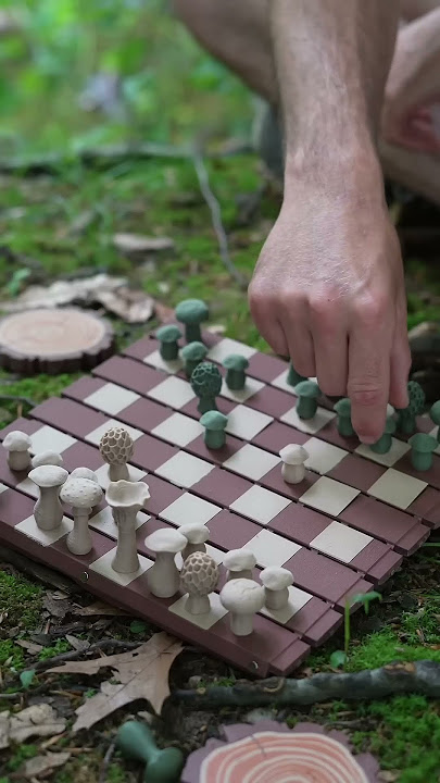 A log that’s actually a chess board?