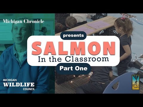 Michigan Wildlife: Council Salmon In The Classroom-- Part One
