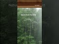 Don’t scroll. Listen. #viral #shortvideos #shorts #rain #relax #sleep #calm #stressrelief #asmr